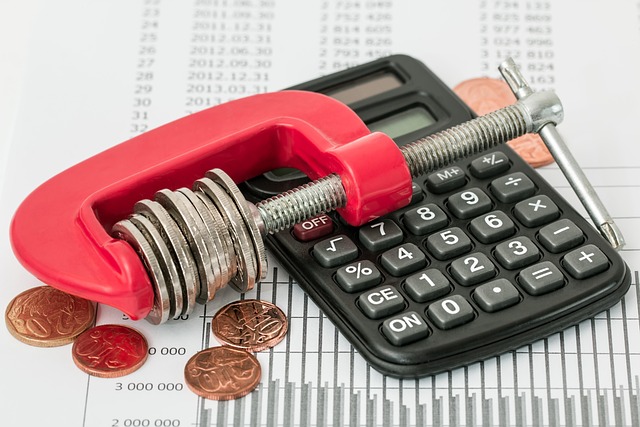 stevepb-savings-2789092_640